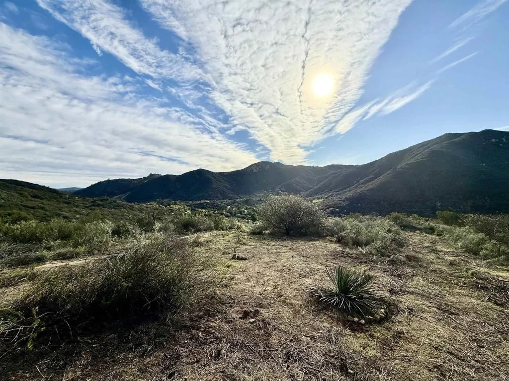 De Luz Murrieta Road Fallbrook, CA 92028 - Photo 28 of 35 a view of a forest with a mountain