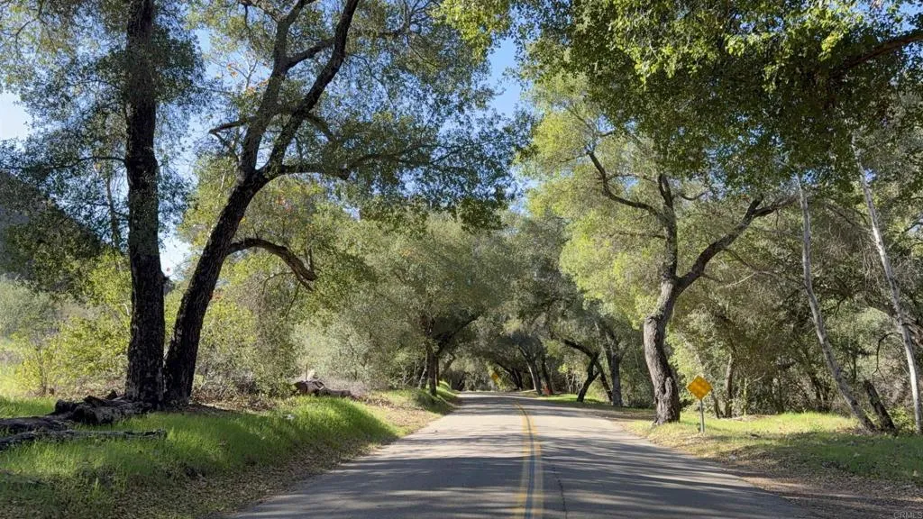 De Luz Murrieta Road Fallbrook, CA 92028 - Photo 32 of 35 a view of outdoor space with trees