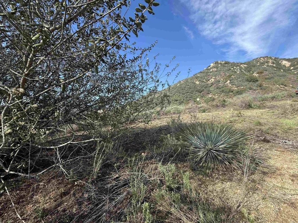 De Luz Murrieta Road Fallbrook, CA 92028 - Photo 33 of 35 a view of a field