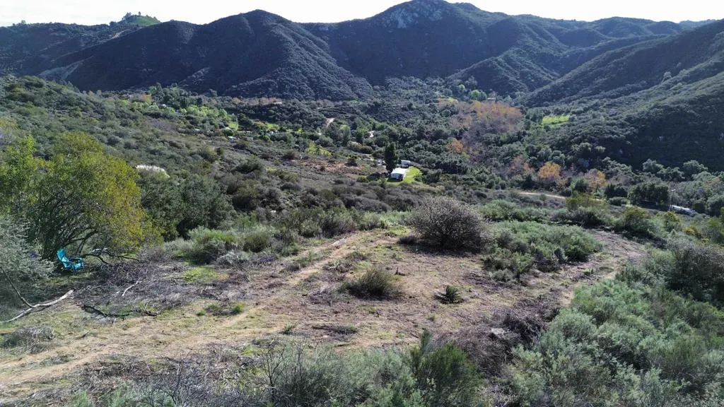 De Luz Murrieta Road Fallbrook, CA 92028 - Photo 7 of 35 a view of a dry and forest