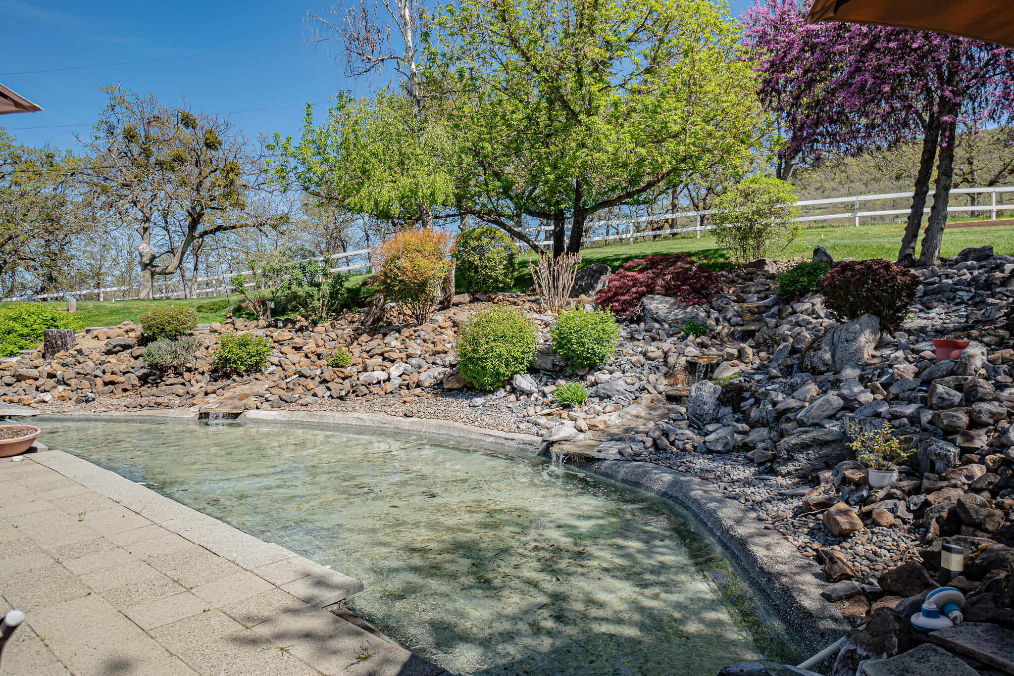 13290 Table Rock Road White City, OR 97503 - Photo 10 of 53 Koi pond