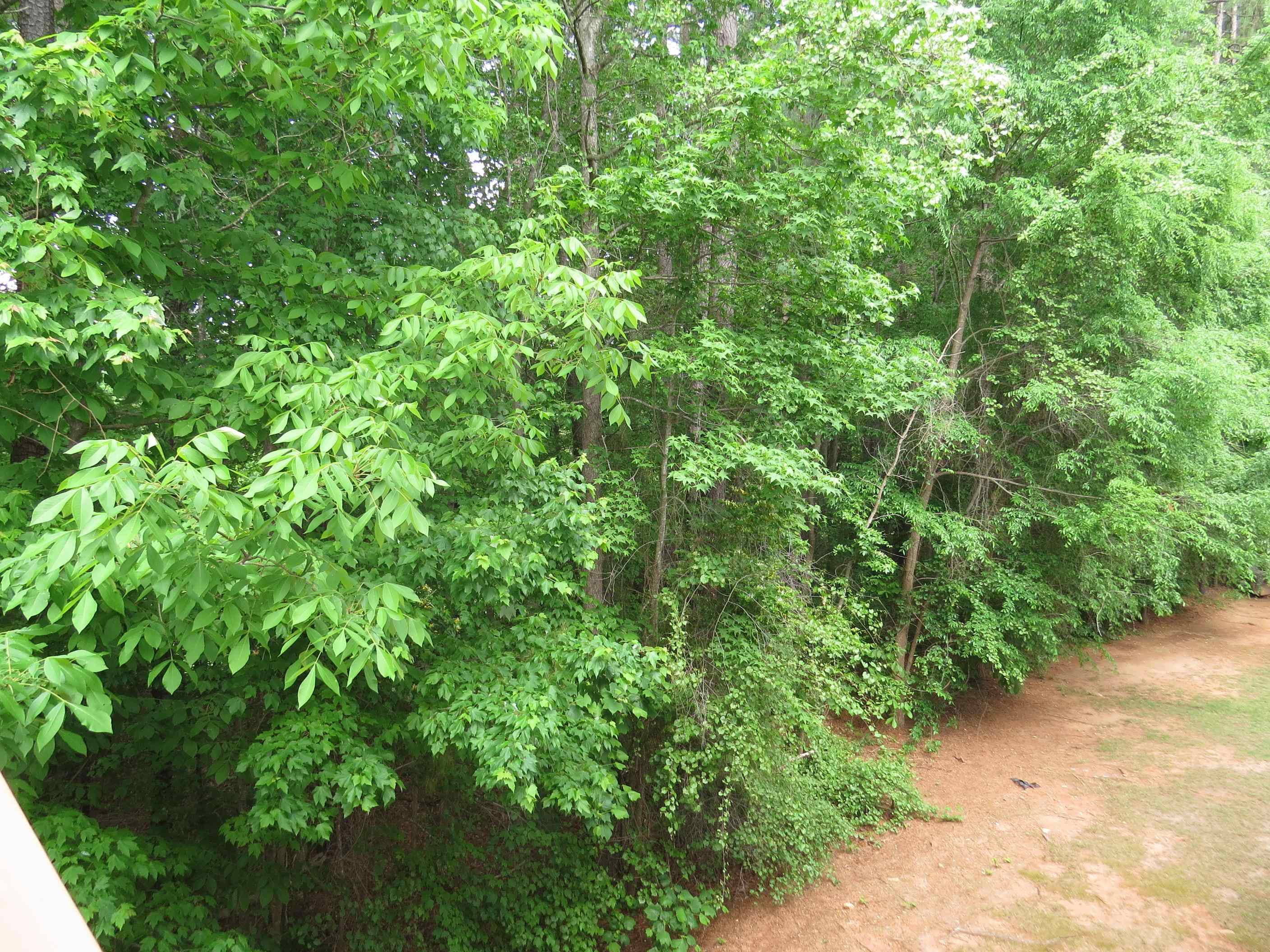 12202 Fox Valley Street Raleigh, NC 27614 - Photo 23 of 25 Photo 24