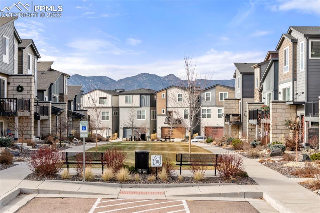 1367 Plentiful Drive Colorado Springs, CO 80921 - Photo 25 of 28