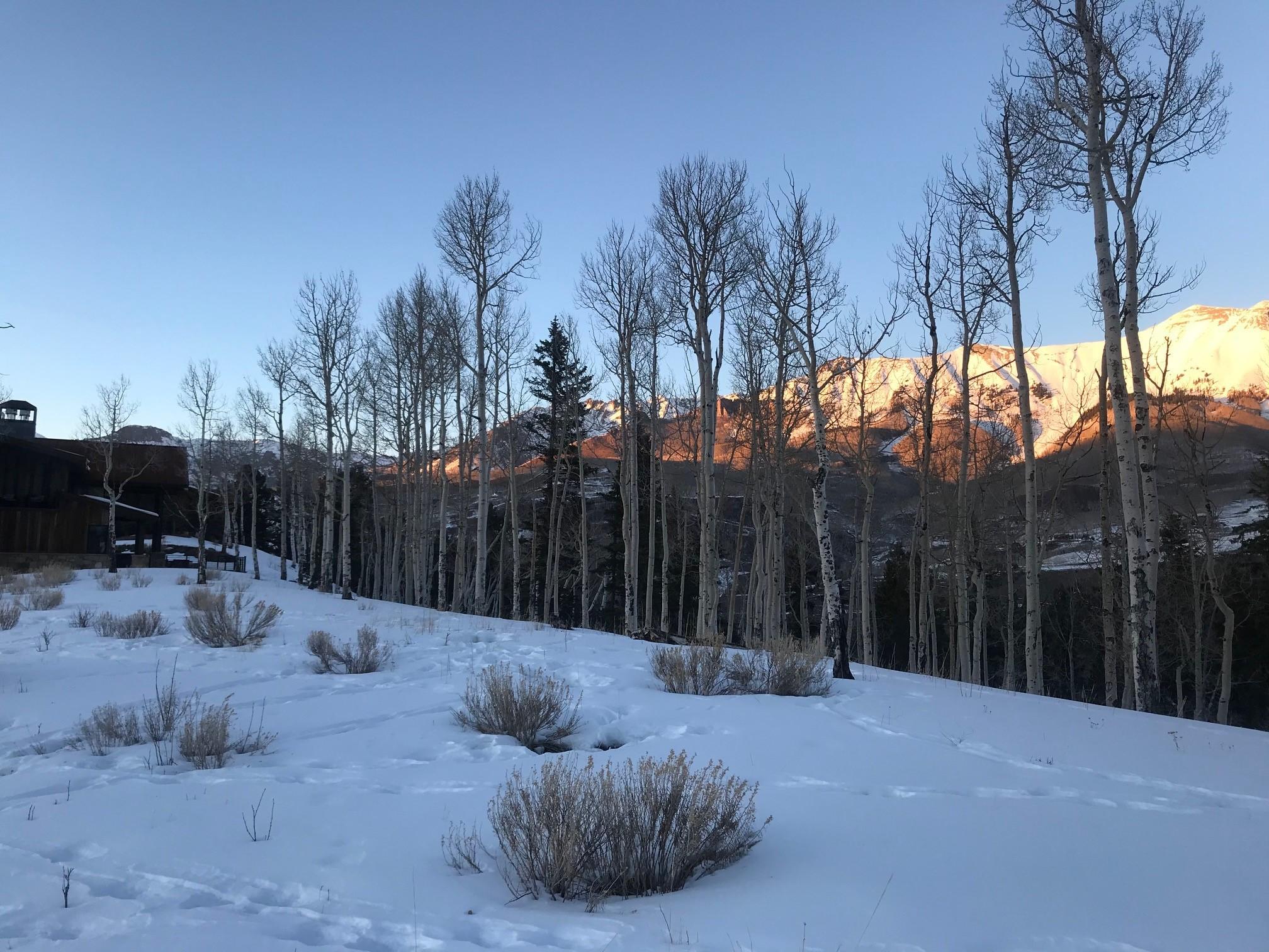 Tbd Singletree Road Telluride, CO 81435 - Photo 11 of 11 a view of a backyard with snow