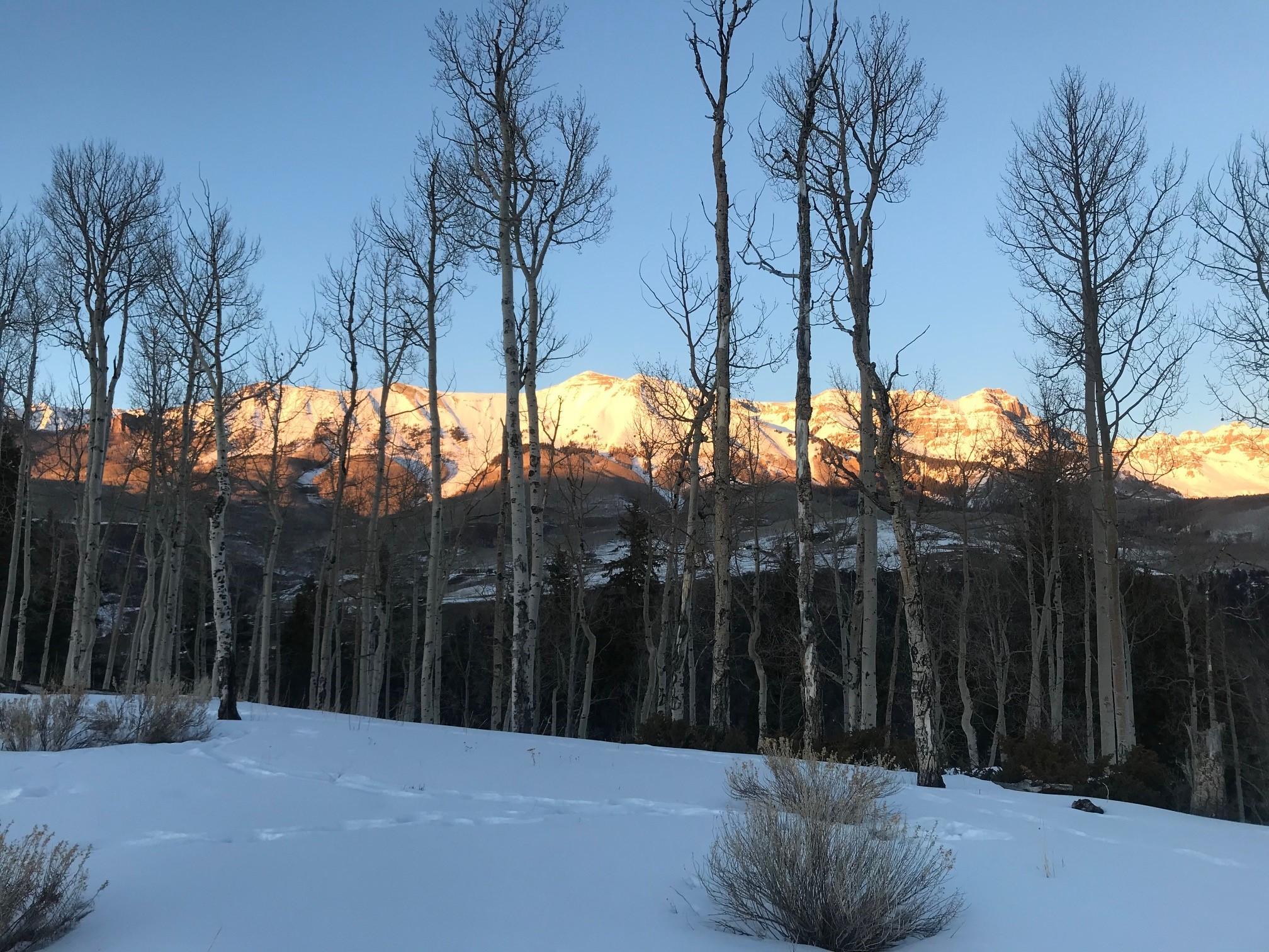 Tbd Singletree Road Telluride, CO 81435 - Photo 10 of 11 a backyard of a house with trees and a wooden fence