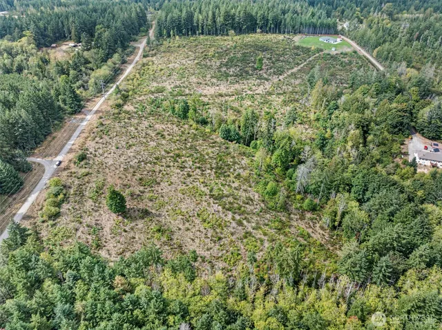 a view of a city with lots of trees in the background