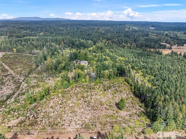 a view of a lush green forest with a building in the background
