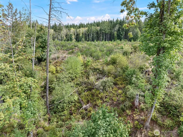 a view of a large yard with lots of green space