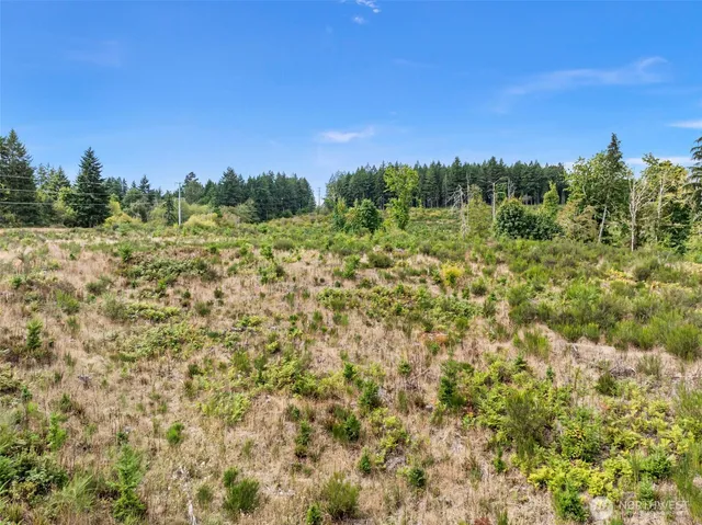 a view of a city with lush green forest