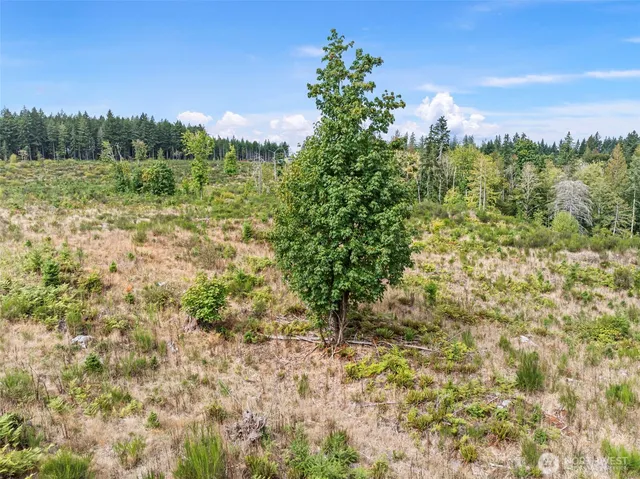 a view of a lush green space with sea