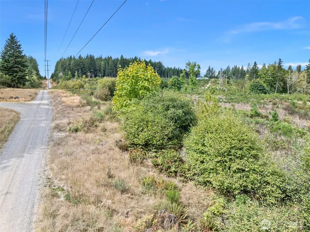 a view of a yard with a tree