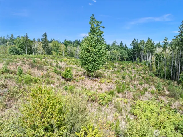 a view of a yard with a tree