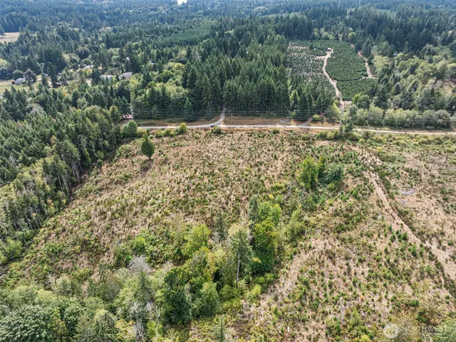 a view of a yard with a tree