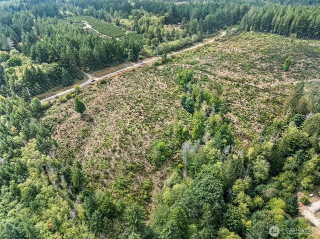 a view of a field with a tree