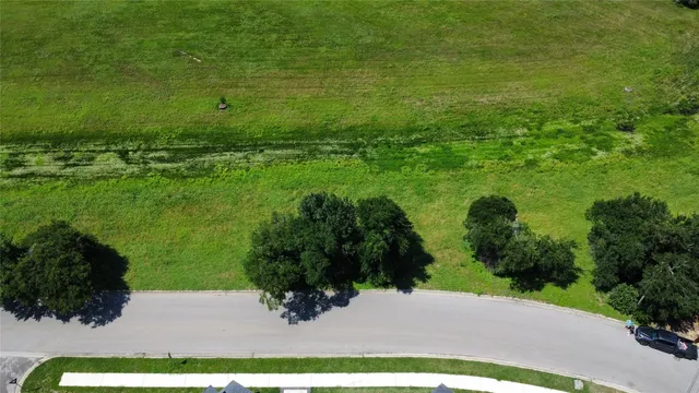 a view of a garden with a large tree