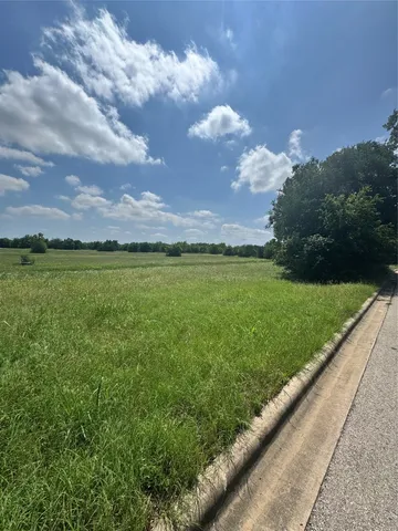 a view of a big yard with a large tree