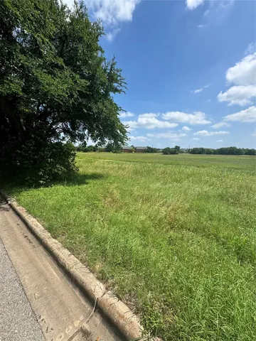 a view of a yard with an tree