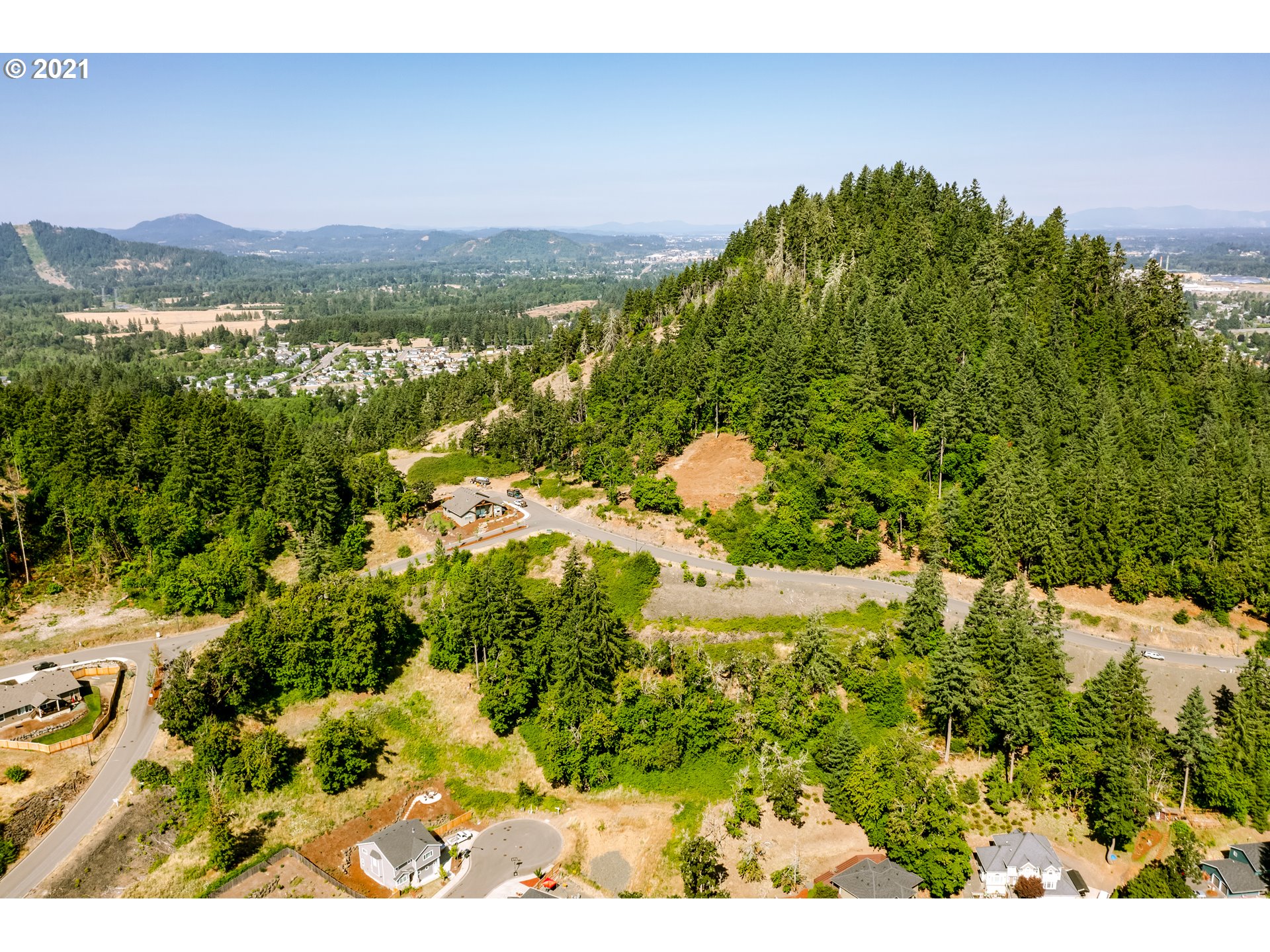 129 Forest Ridge Drive Springfield, OR 97478 - Photo 5 of 9 a view of a lake in middle of the forest