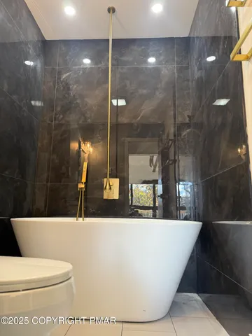 a bathroom with a bathtub and a toilet