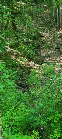 $40,000 | 0 Carter Mountain, Unit LOT 25, Hays, NC 28635