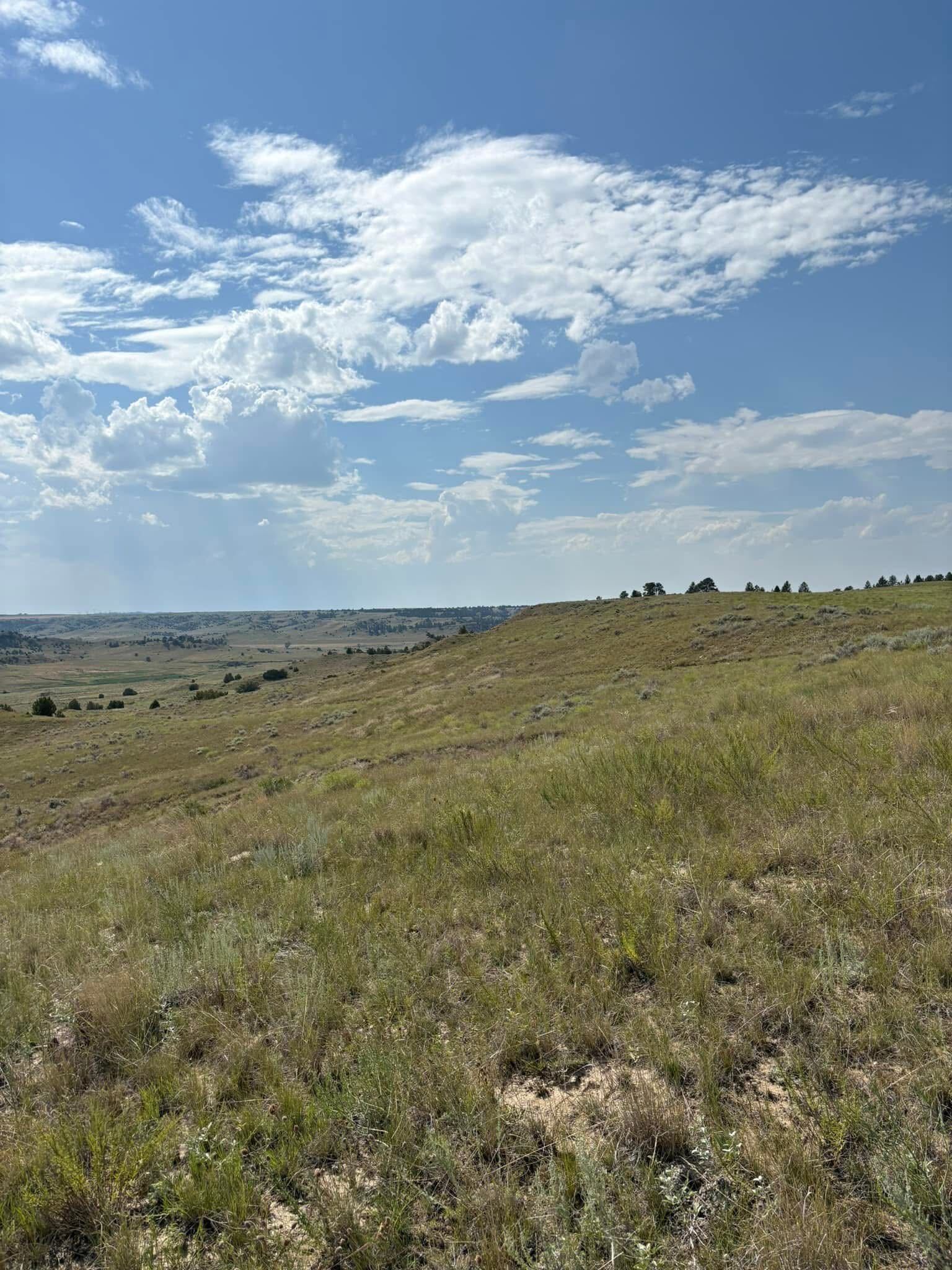 255 Smith Creek Road Forsyth, MT 59327 - Photo 30 of 30 Gallery Image 30