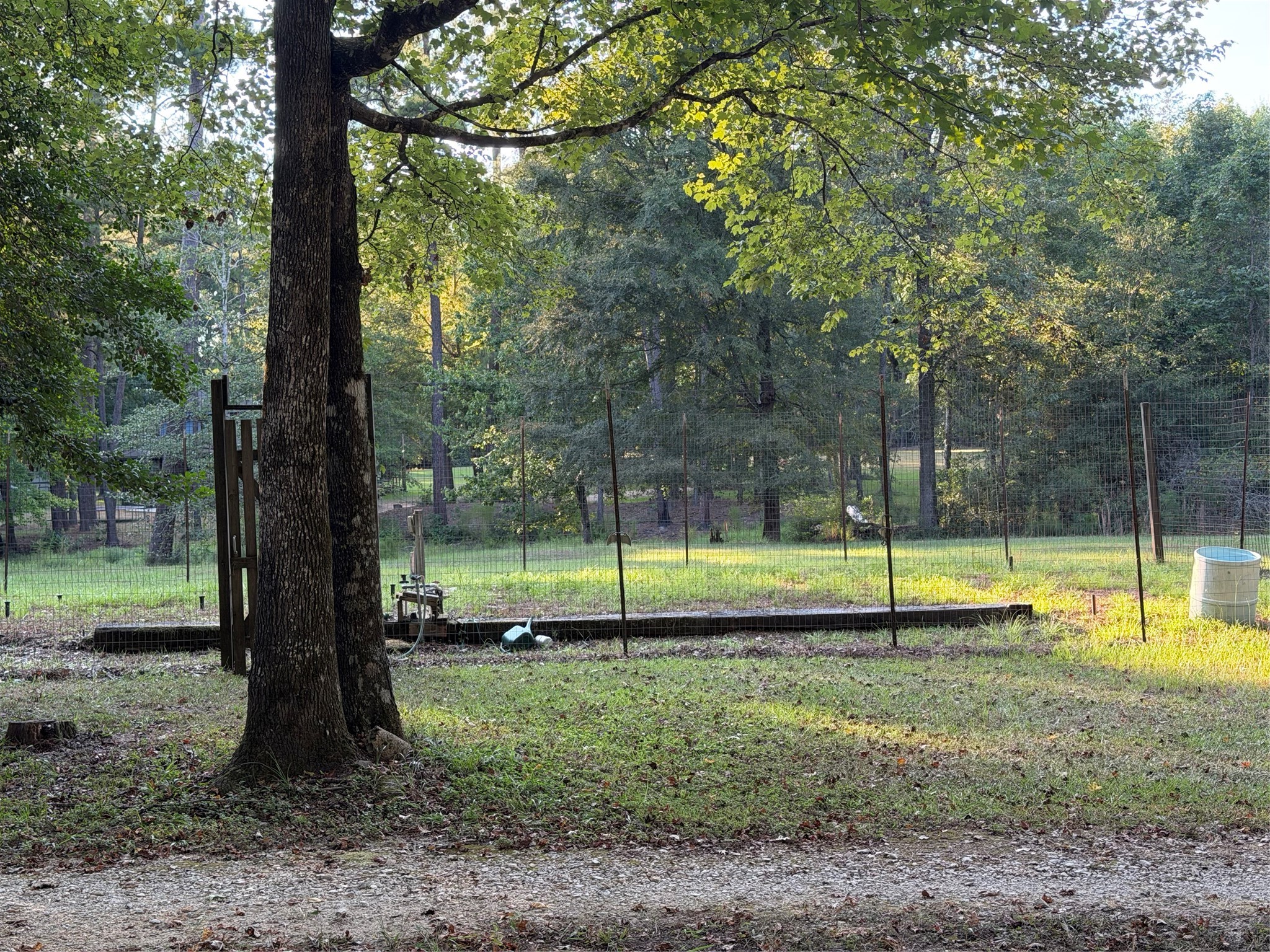 2721 Kelly Road Livingston, TX 77351 - Photo 11 of 36 Gallery Image 11