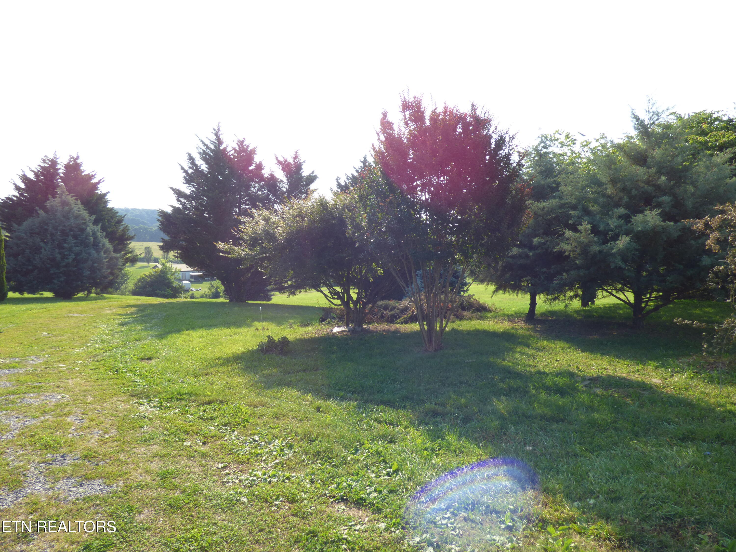 719 Sam Martin Road Dandridge, TN 37725 - Photo 5 of 22 P1290606