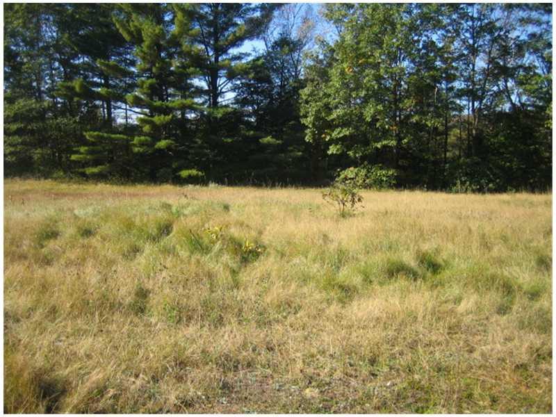 158 South Strong Road Farmington, ME 04938 - Photo 3 of 7 Yard/Garden. Big, level backyard