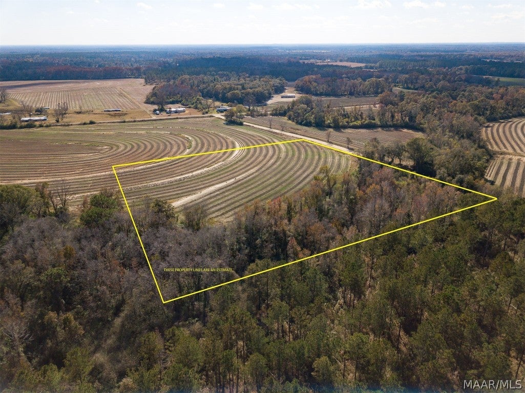 7.5-acres Sewell Road Dothan, AL 36301 - Photo 4 of 10 Gallery Image 4