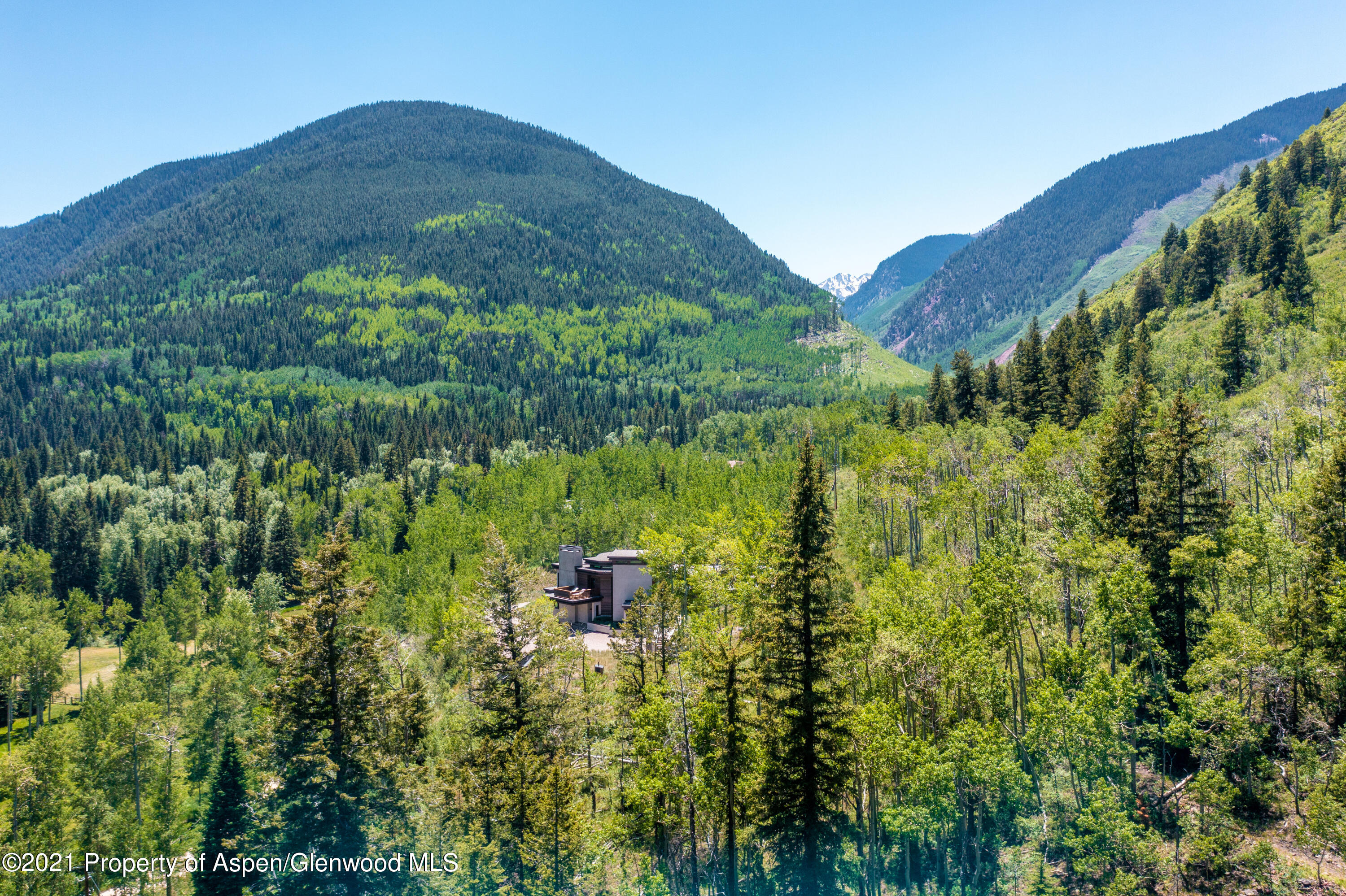 255 Conundrum Creek Road Aspen, CO 81611 - Photo 15 of 70 a view of a lush green field with lots of plants in it