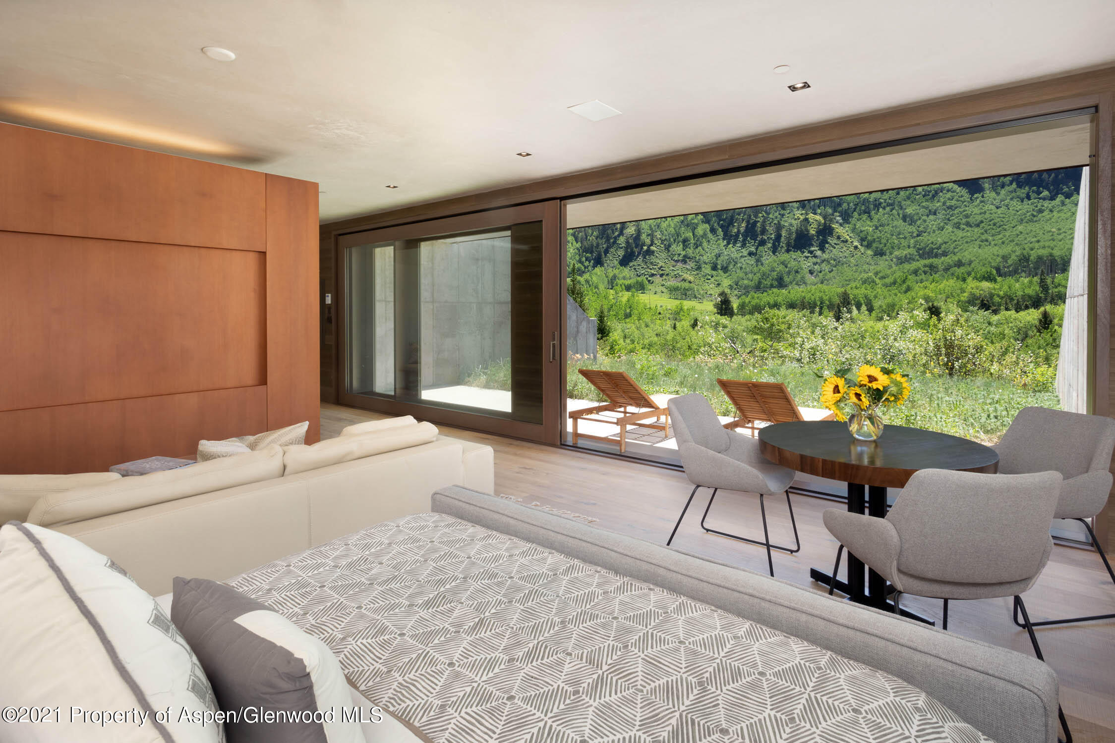 255 Conundrum Creek Road Aspen, CO 81611 - Photo 16 of 70 a living room with a large window