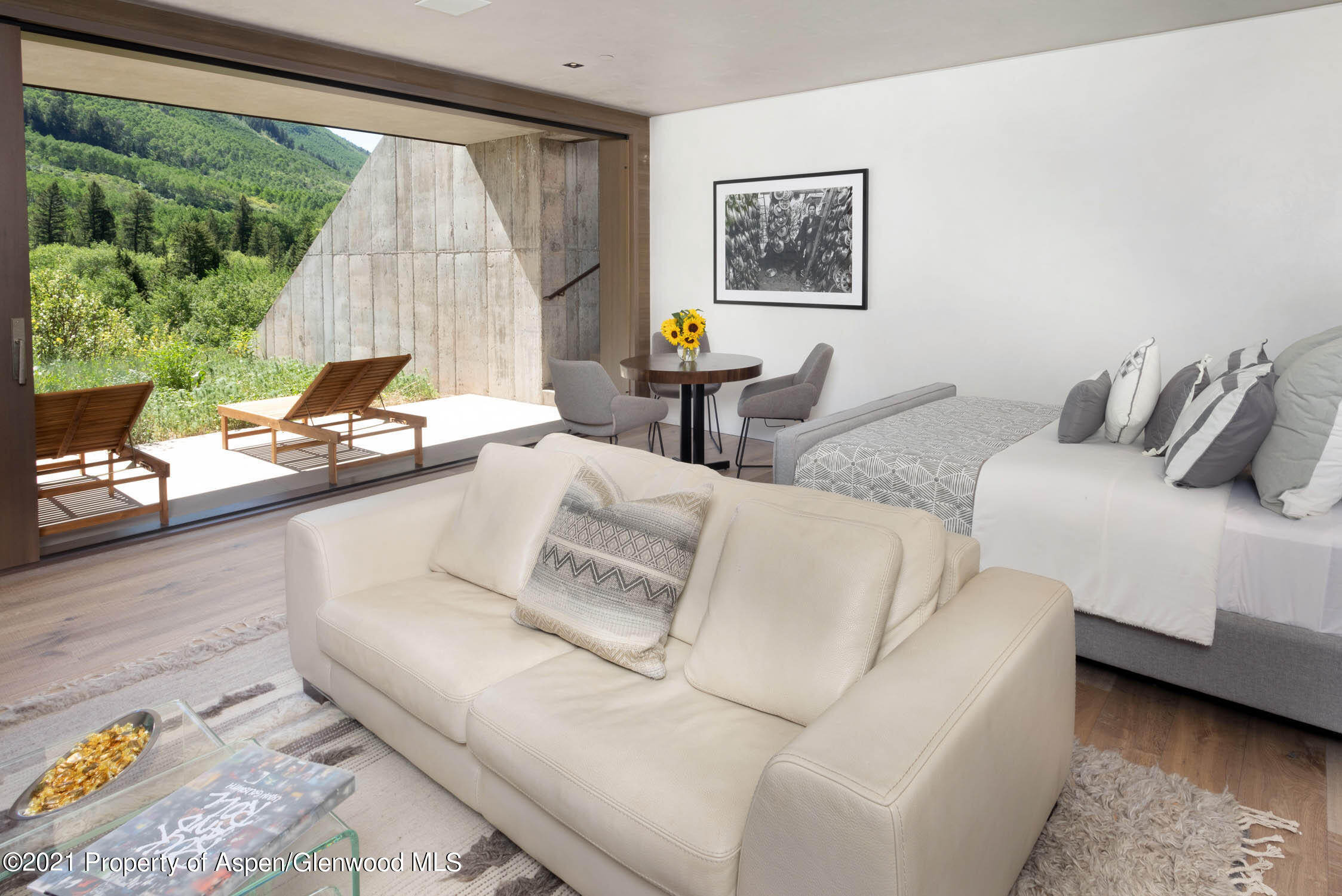 255 Conundrum Creek Road Aspen, CO 81611 - Photo 31 of 70 a living room with furniture and a large window