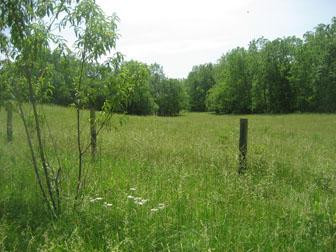 1819 East Union Road Carlisle, KY 40311 - Photo 3 of 15 Photo 3