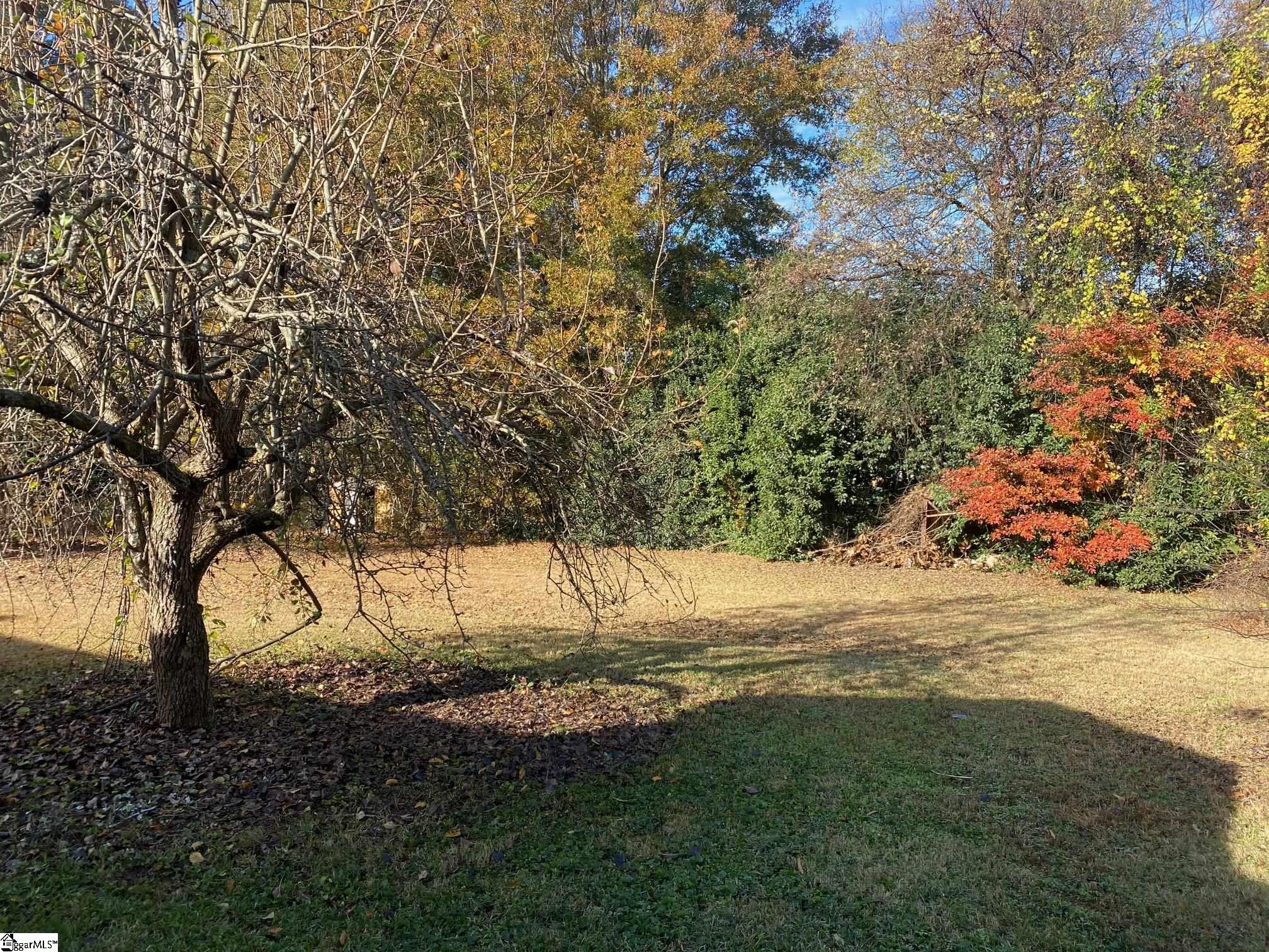 707 Shands Street Clinton, SC 29325 - Photo 3 of 14 Gallery Image 3