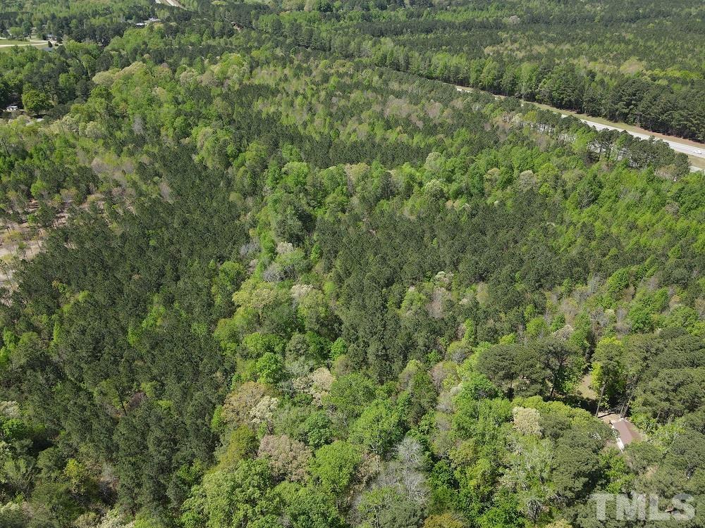 1338 Tant Road Zebulon, NC 27597 - Photo 3 of 5 view of a lush green forest with lots of trees