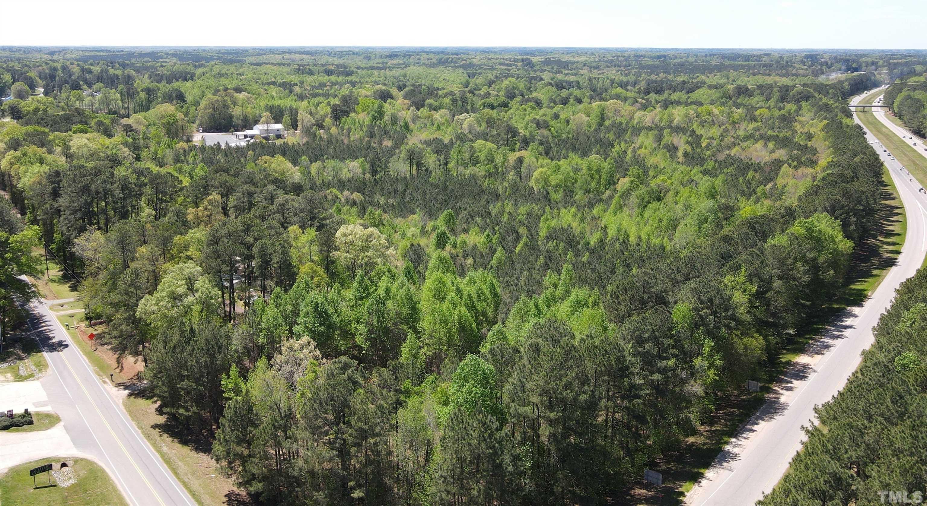 1338 Tant Road Zebulon, NC 27597 - Photo 4 of 5 a view of a city with lush green forest
