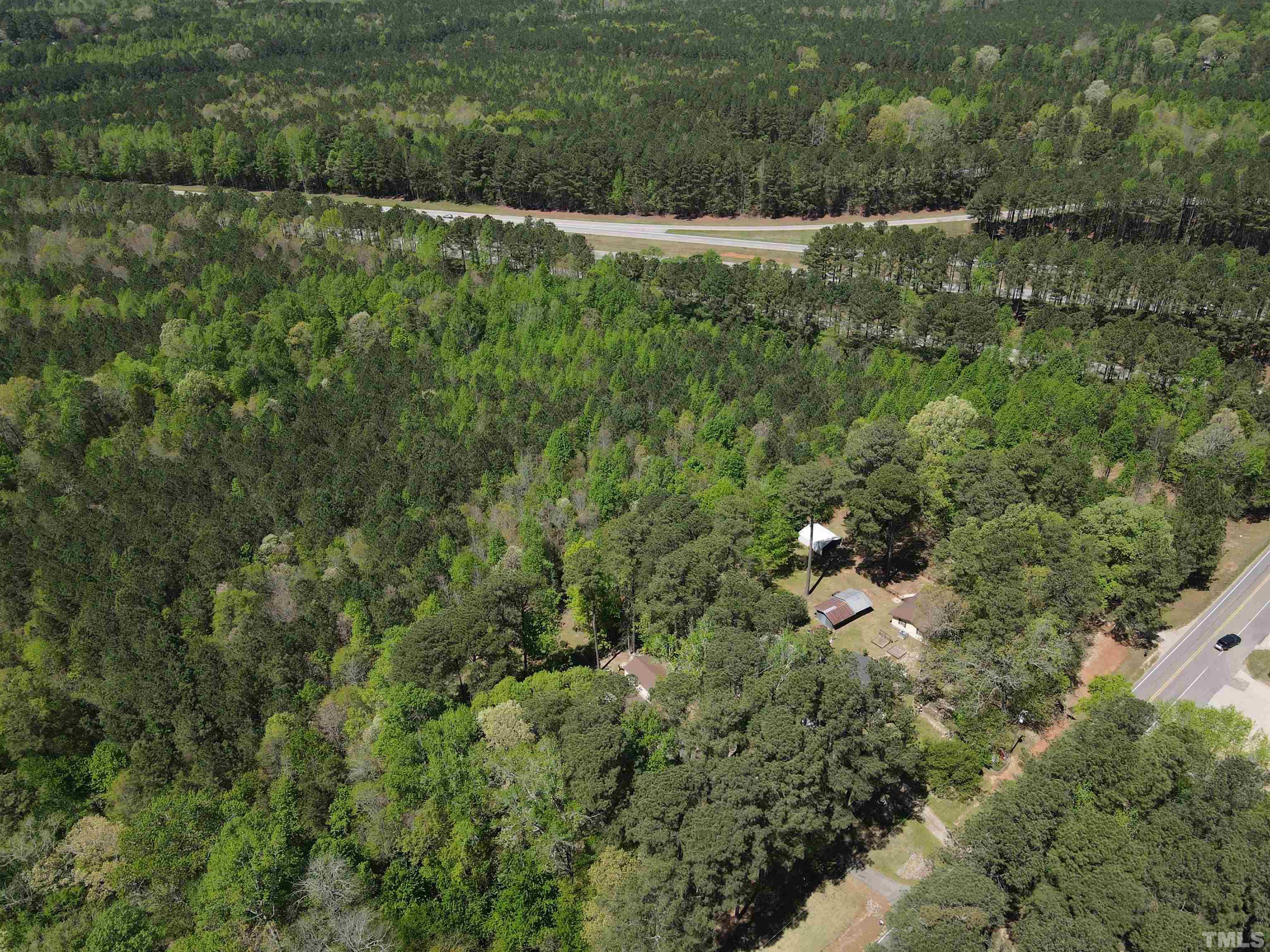 1338 Tant Road Zebulon, NC 27597 - Photo 5 of 5 a view of a forest with a houses