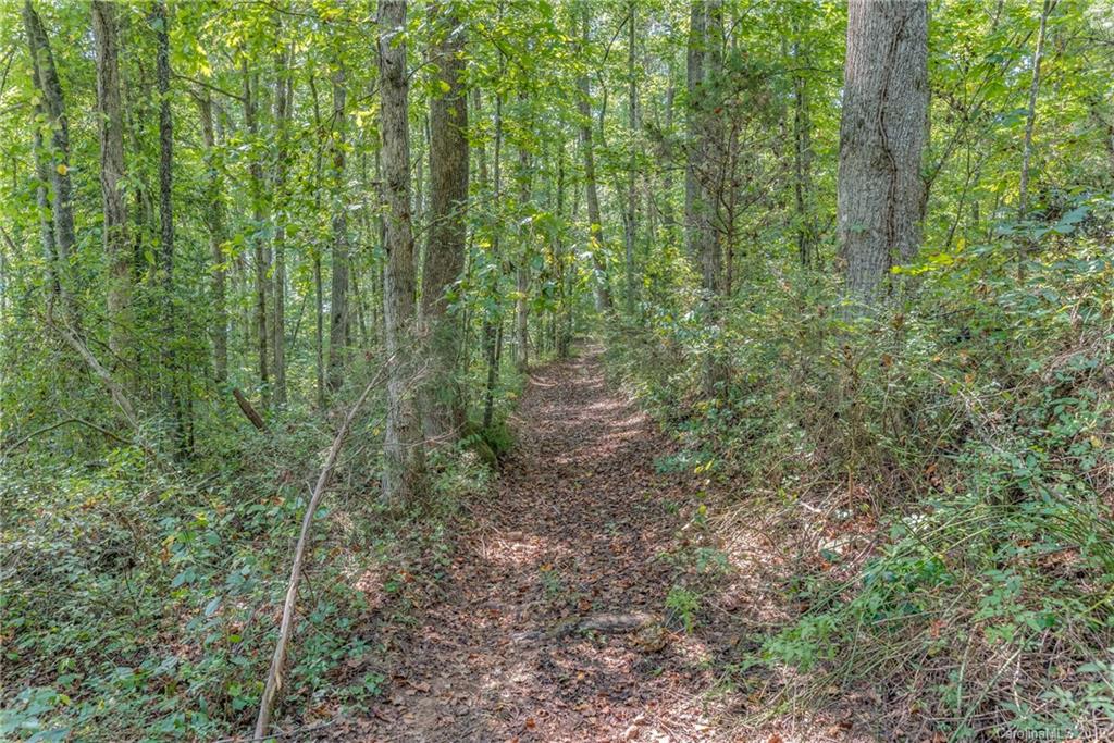 542 McEntire Road Rutherfordton, NC 28139 - Photo 34 of 41