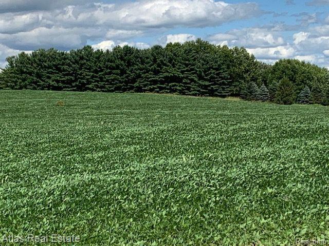 8143 East Baldwin Road Goodrich, MI 48438 - Photo 14 of 17 Gallery Image 14