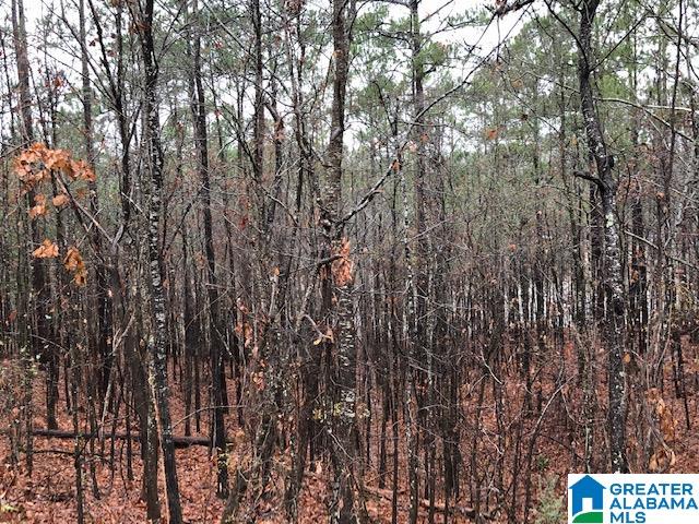 0 Lakeside Lane, Unit 31 Alpine, AL 35014 - Photo 12 of 42