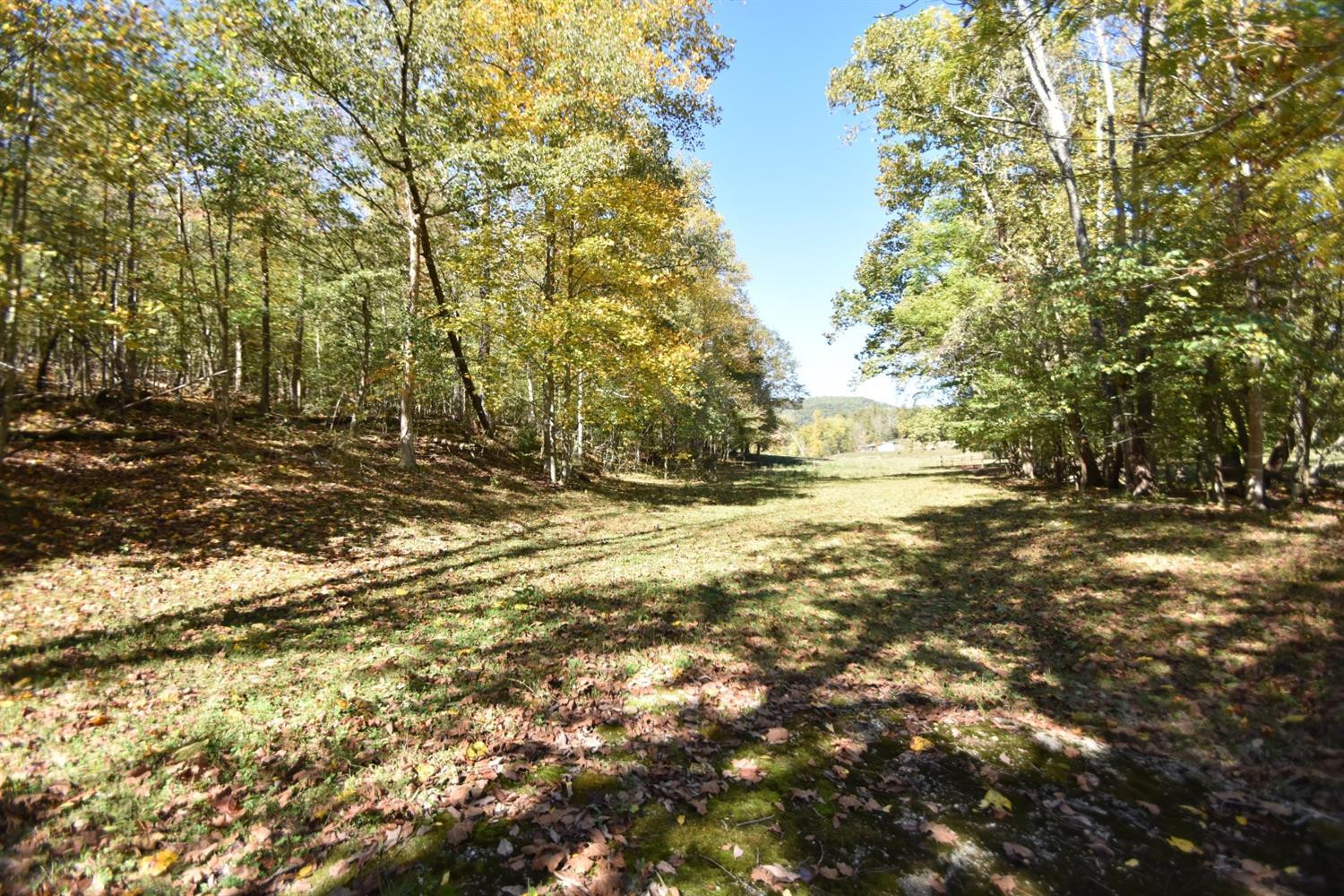 1765 Red Lick Road Berea, KY 40403 - Photo 12 of 13 Photo 12
