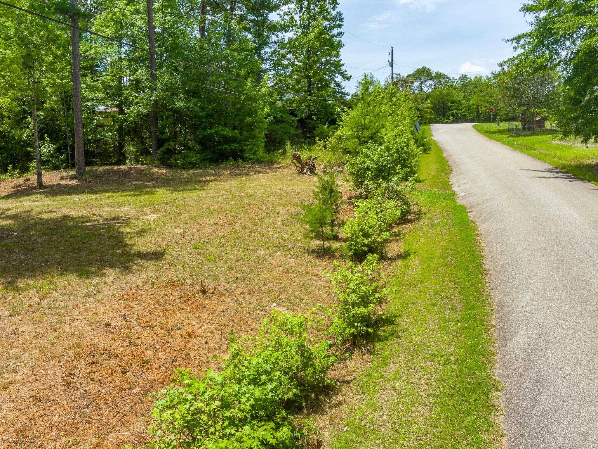 0 Bishop Road Pauline, SC 29374 - Photo 11 of 15