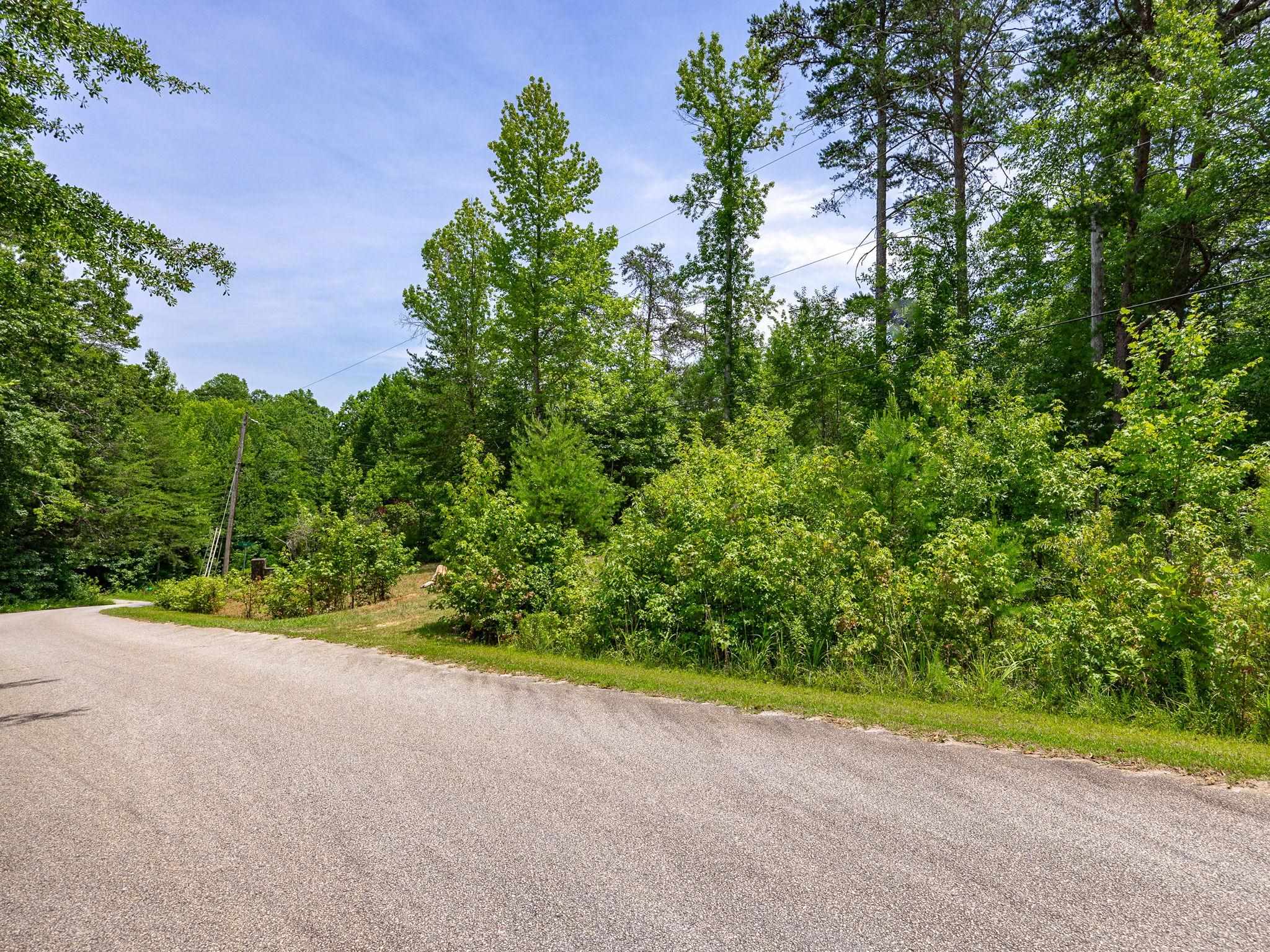 0 Bishop Road Pauline, SC 29374 - Photo 13 of 15