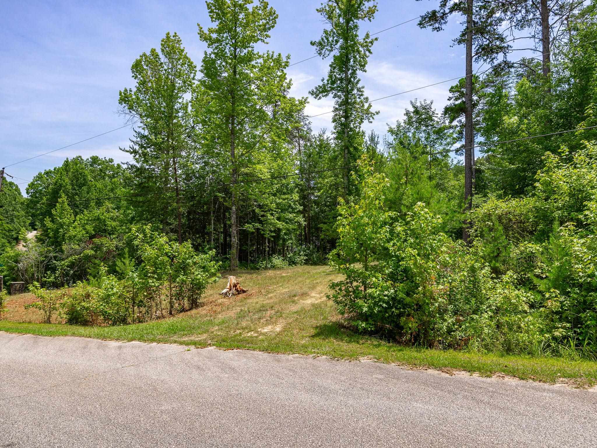 0 Bishop Road Pauline, SC 29374 - Photo 14 of 15