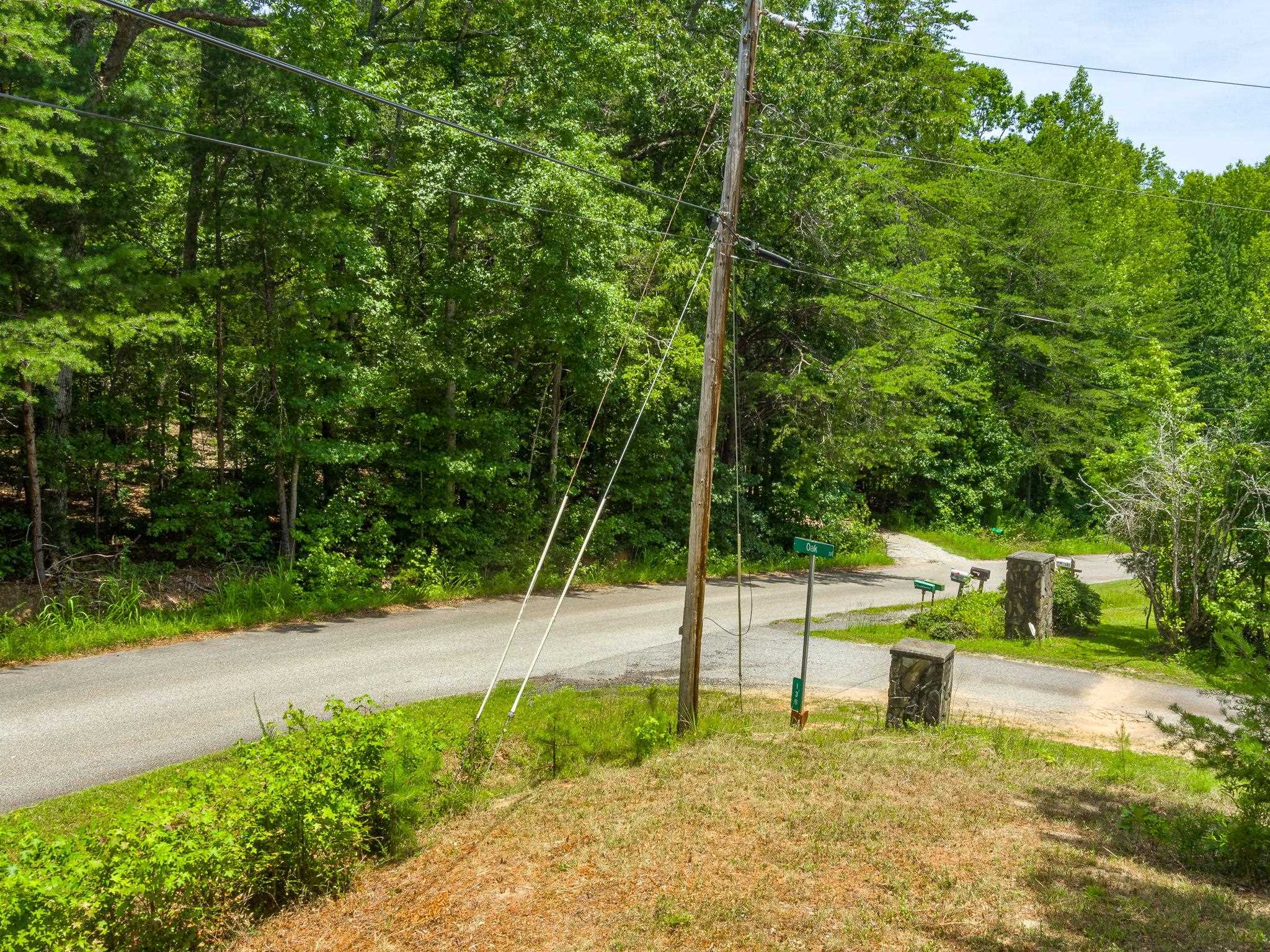 0 Bishop Road Pauline, SC 29374 - Photo 6 of 15