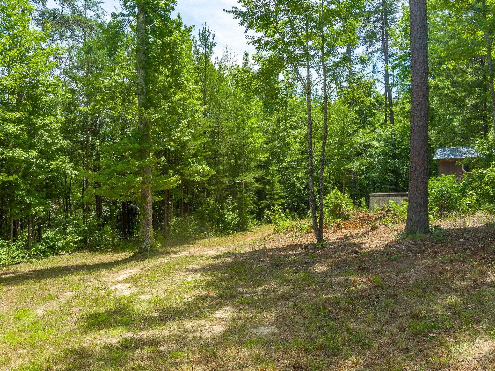 0 Bishop Road Pauline, SC 29374 - Photo 10 of 15