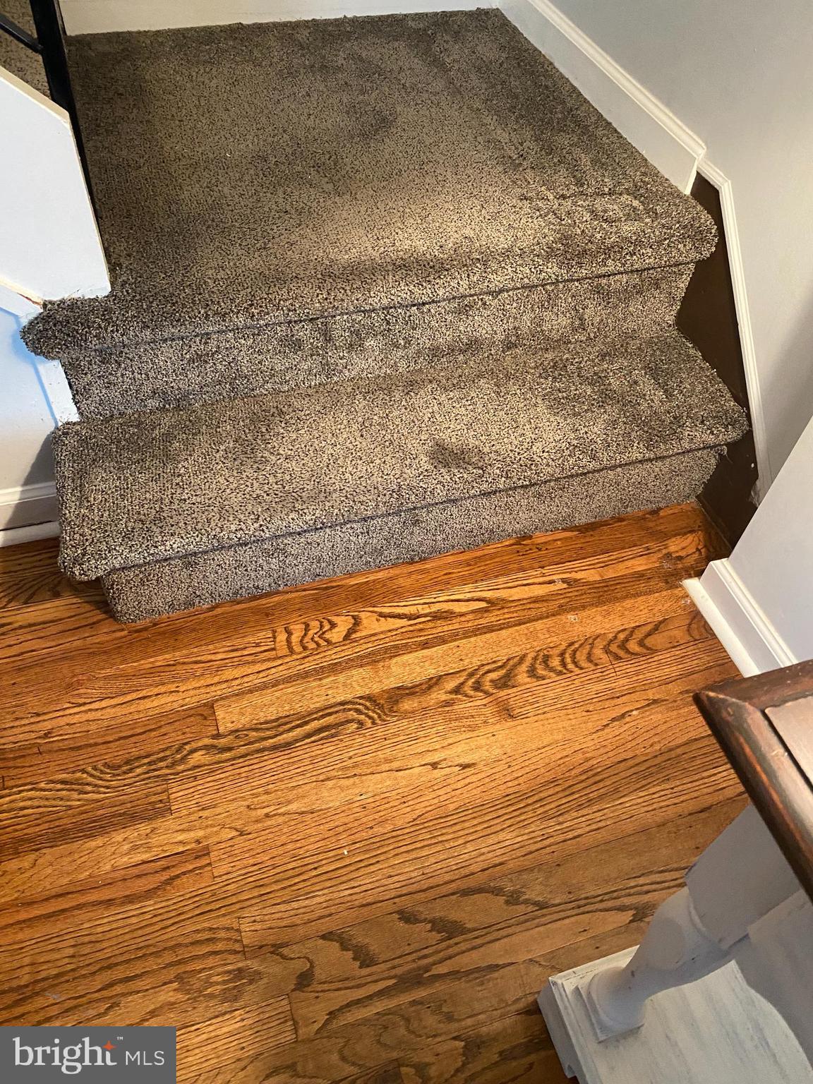 12613 Ramer Road Philadelphia, PA 19154 - Photo 16 of 51
