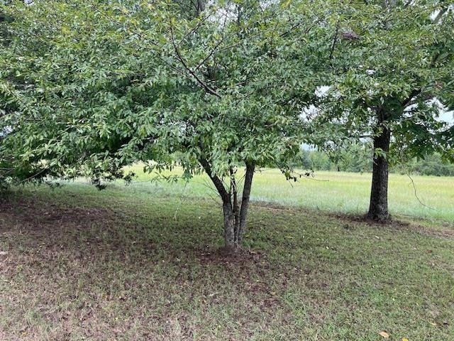 13641 Rockhole Bridge Road Andalusia, AL 36420 - Photo 28 of 28 Gallery Image 28