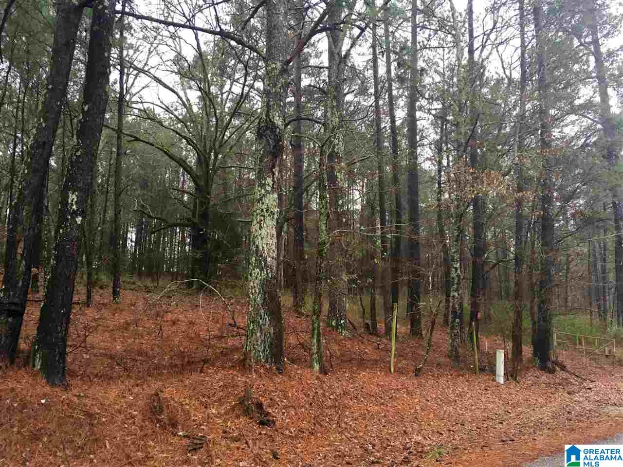 1285 Eureka Road, Unit 1 Lincoln, AL 35096 - Photo 1 of 37
