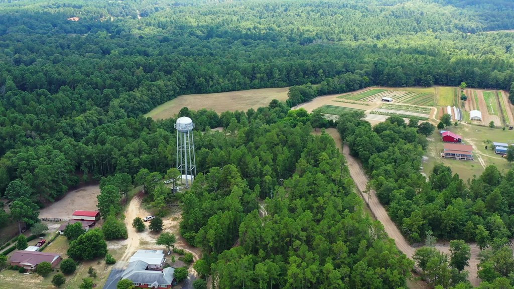182 New Bridge Road Aiken, SC 29801 - Photo 12 of 18